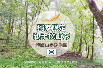 獨家韓國山蔘摘採一天團