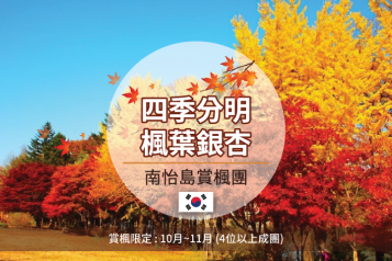 南怡島賞楓一天團