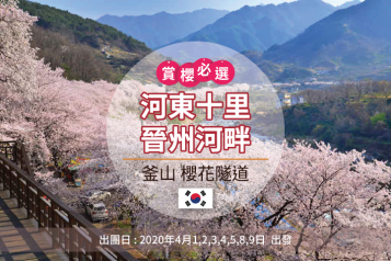 釜山河東晉州賞櫻一天團