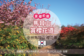 全州馬耳山櫻花一天團