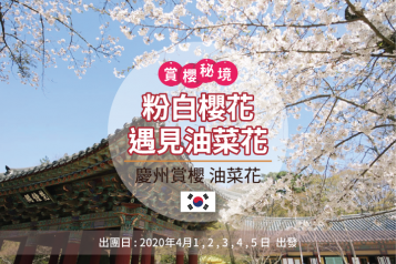 首爾慶州賞櫻一天團