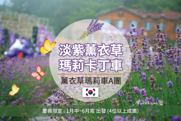 薰衣草+瑪莉歐賽車A一天團