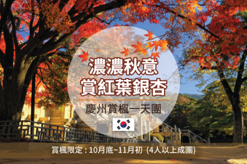 慶州賞楓一天團